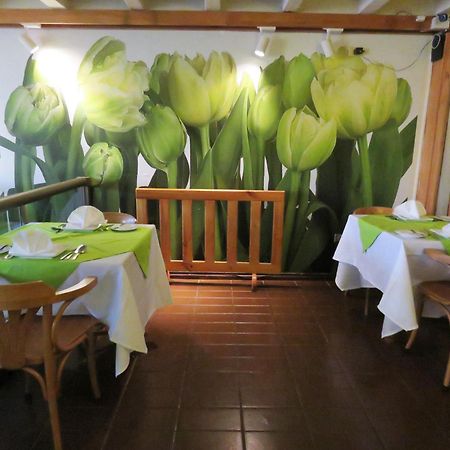 Hotel Alonso De Ercilla 콘셉시온 외부 사진